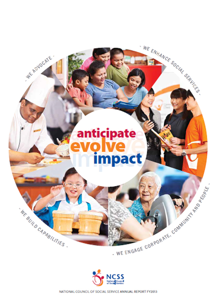 National Council of Social Service Annual Report FY2013