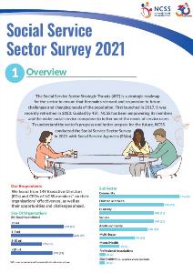 Social Service Sector Survey 2021